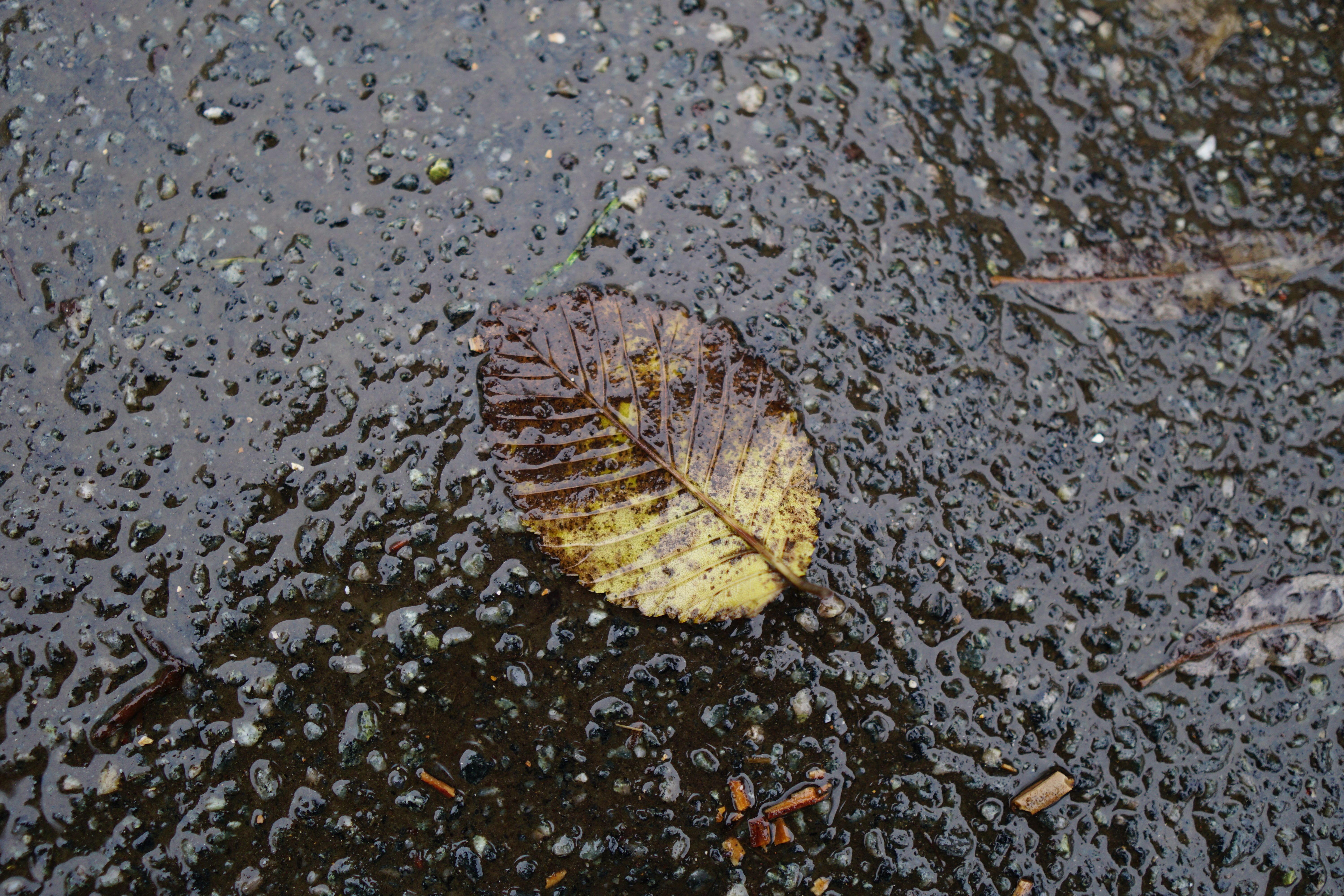 Experience Background