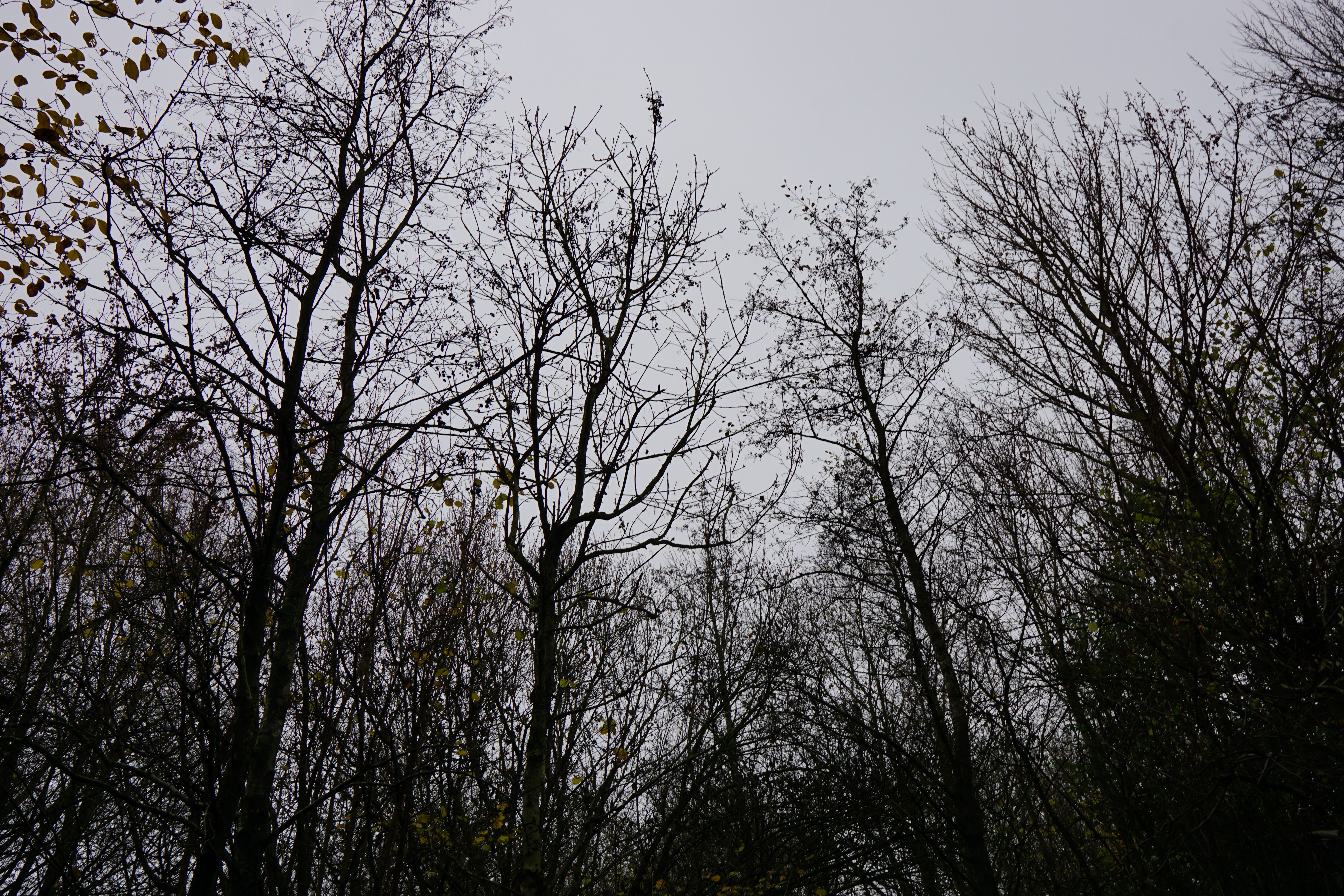 Contact Me Background